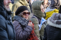 Mótmæli á austurvelli