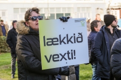 Mótmæli á austurvelli